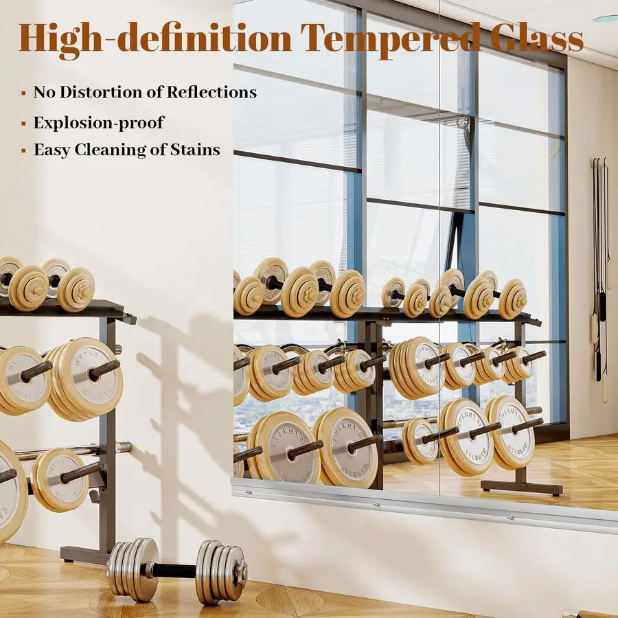 2-Piece 24" x 48" Frameless Home Gym Mirror – Full Length Wall Mounted Fitness Mirror for Workout, Yoga & Dance