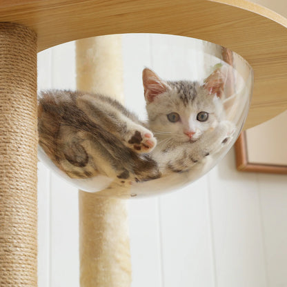Multi-Level Cat Tree with Hammock & Top Perch – Indoor Cat Tower with Scratching Posts and Cozy Condo