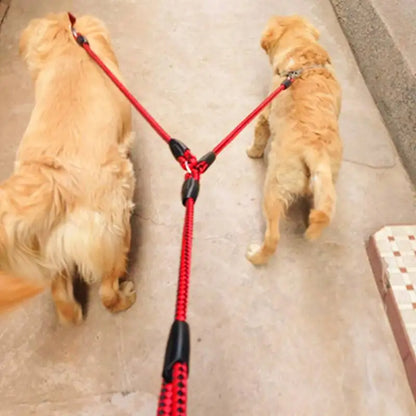 Double Leash 2 Way Couplers Training